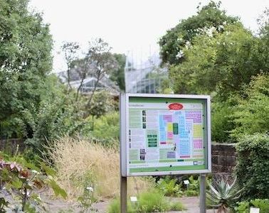 ENTDECKT DEN BOTANISCHEN GARTEN IN WÜRZBURG DER UNIVERSITÄT