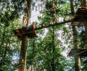 AUSFLUGSTIPPS IN WÜRZBURG UND DER UMGEBUNG | GRAMSCHATZER WALD