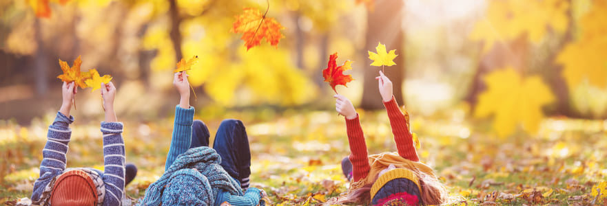 Herbstferien in Würzburg: Spannende Aktivitäten für Kinder und Jugendliche