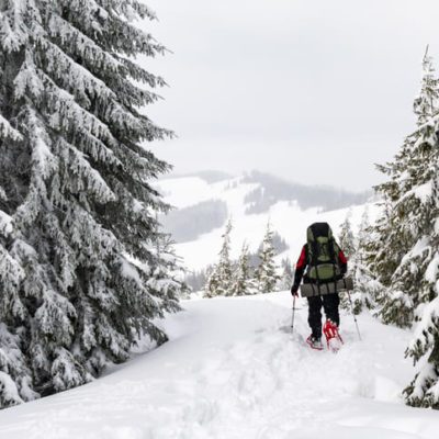 Winter