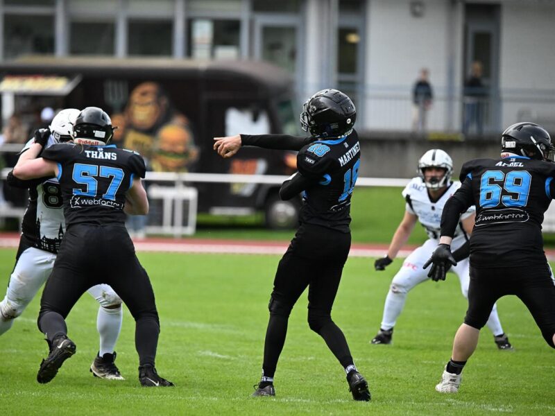 Würzburg Panthers Titelbild