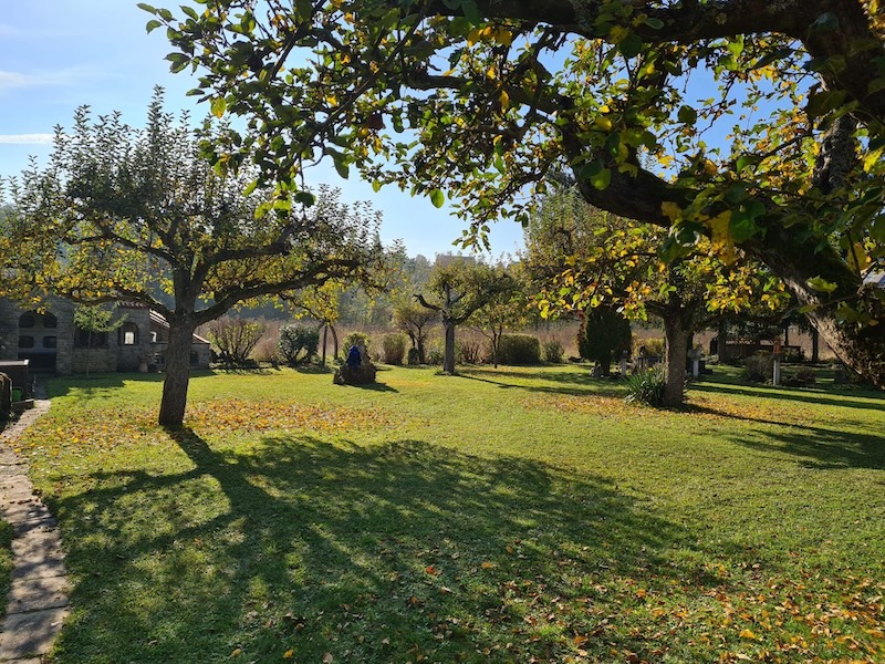 Der Garten im Rückensturm Nest in Rimpar